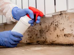 Best Mold Remediation for Healthcare Facilities  in Broxton, GA